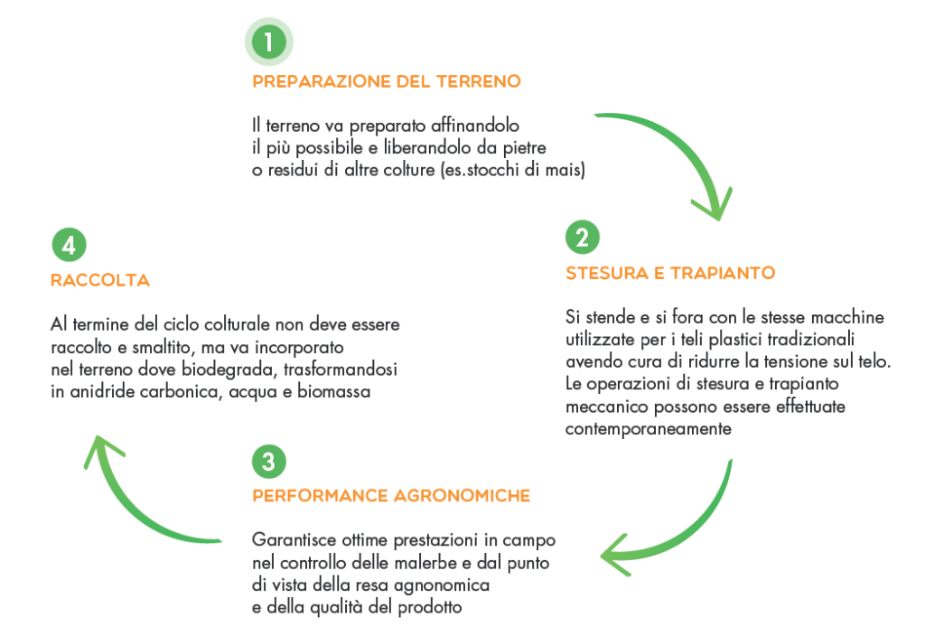 Ciclo-telo